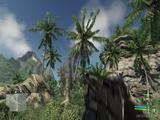 Crysis